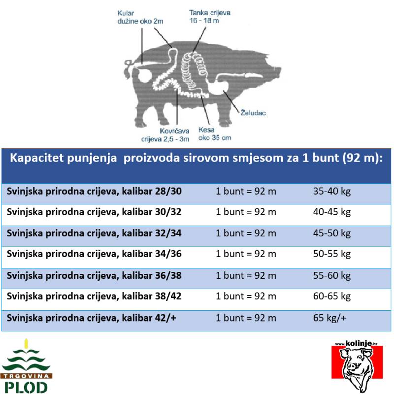 SVINJSKI KULAR - GUŽNJAK 0,65  m - 10 KOM