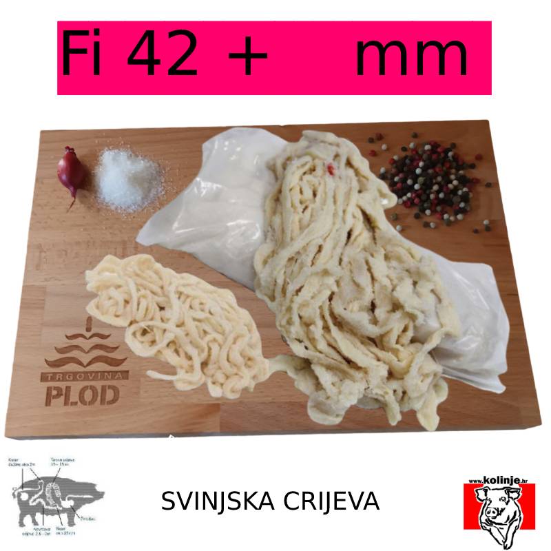 SVINJSKI KULAR - GUŽNJAK 0,65  m - 10 KOM